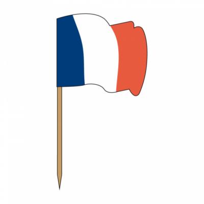 PIQUES DRAPEAUX "FRANCE"