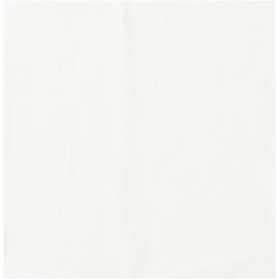 SERVIETTE OUATE BLANCHE 2 plis 30x30 Lot de 200