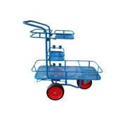 CHARIOT TOUT TERRAIN