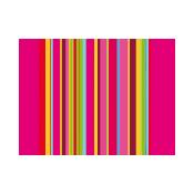 SET DE TABLE PAPIER 30X40 décor ACIDULE lot de 500