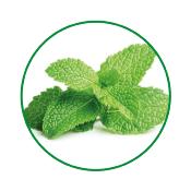 AEROSOL DESINFECTANT DE SURFACE ET PURIFICATEUR D'AIR