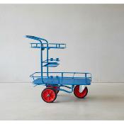 CHARIOT TOUT TERRAIN